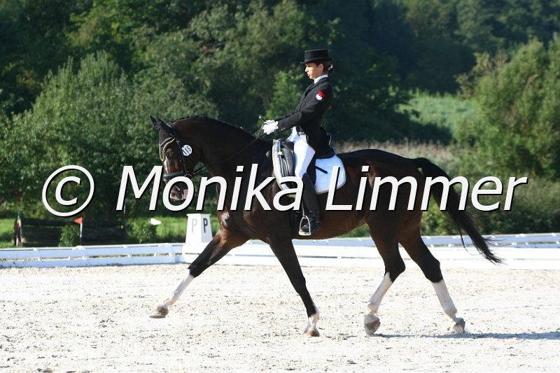 109M6403_Da Vincenti_Dressur L_Mannschaft.JPG